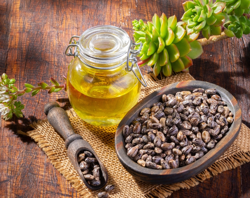 Castor Refined Oil