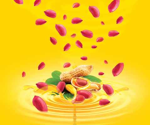 Groundnut Double Filter